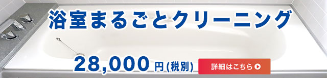 浴室クリーニング紹介